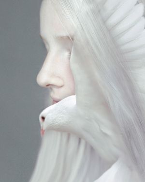 Dove