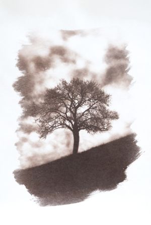 Argentotipia _ Fa