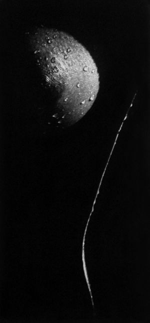 F&eacute;lhold_1968